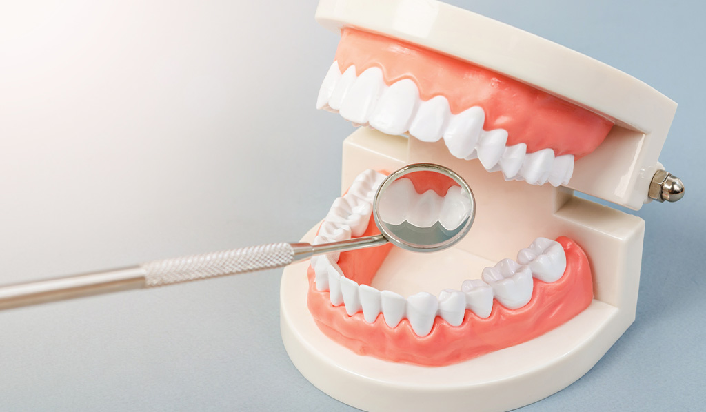 2. むし歯・歯周病予防にも効果的